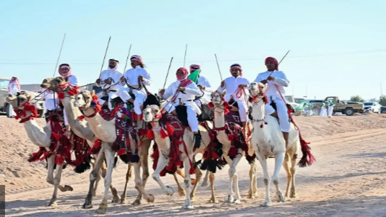 اليوم الوطني بحقل: مسيرات الهجن والخيول تجسد فرحة الأهالي بمشاهد تراثية